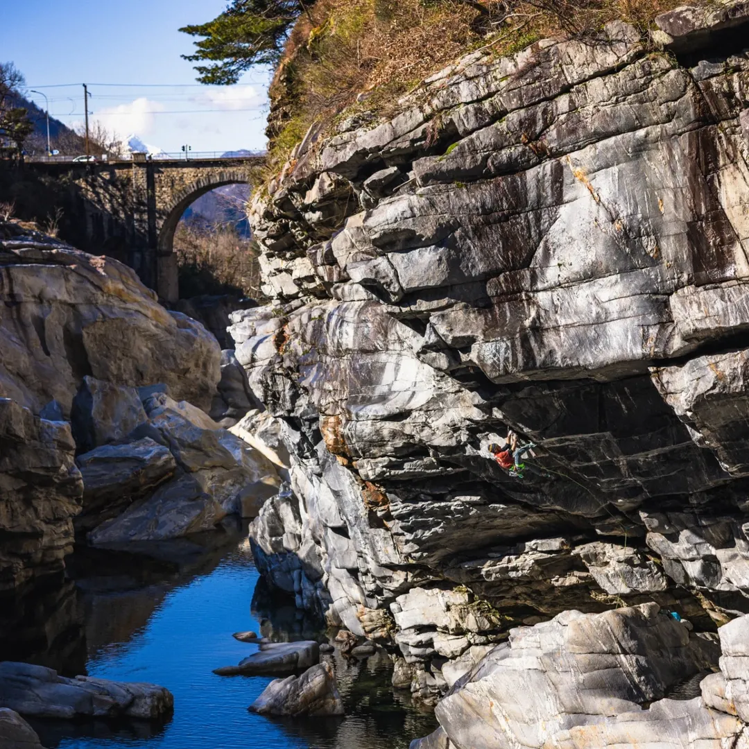 Nos marques - Varap'Fantastic